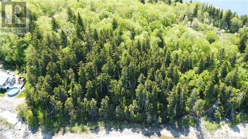 Lot Lydia's Ledge Road, Utopia, New Brunswick  E5C 3B1 - Photo 20 - NB119933