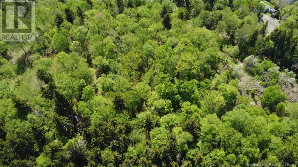 Lot Lydia's Ledge Road, Utopia, New Brunswick  E5C 3B1 - Photo 22 - NB119933