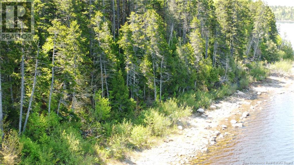 Lot Lydia's Ledge Road, Utopia, New Brunswick  E5C 3B1 - Photo 25 - NB119933