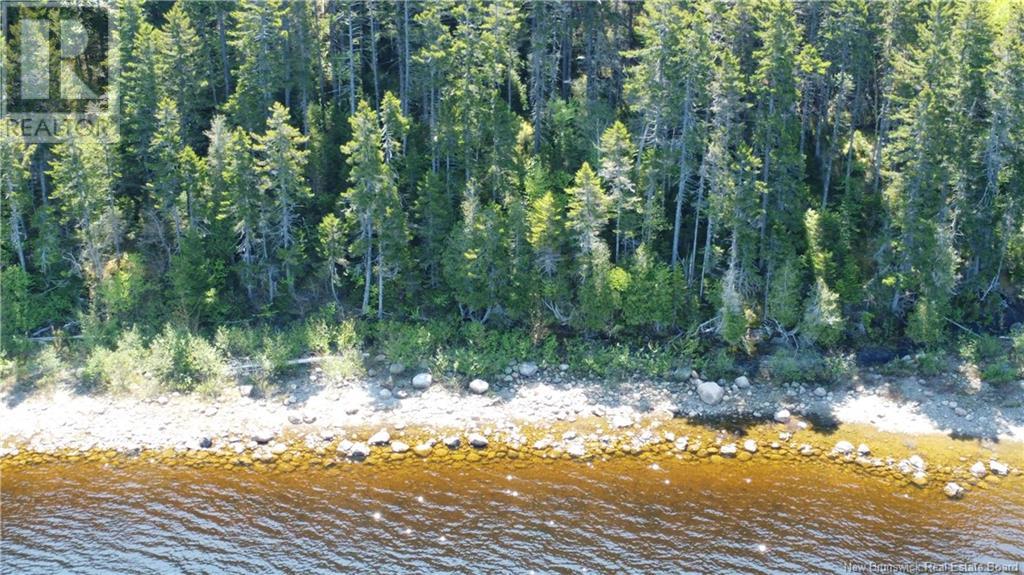 Lot Lydia's Ledge Road, Utopia, New Brunswick  E5C 3B1 - Photo 3 - NB119933