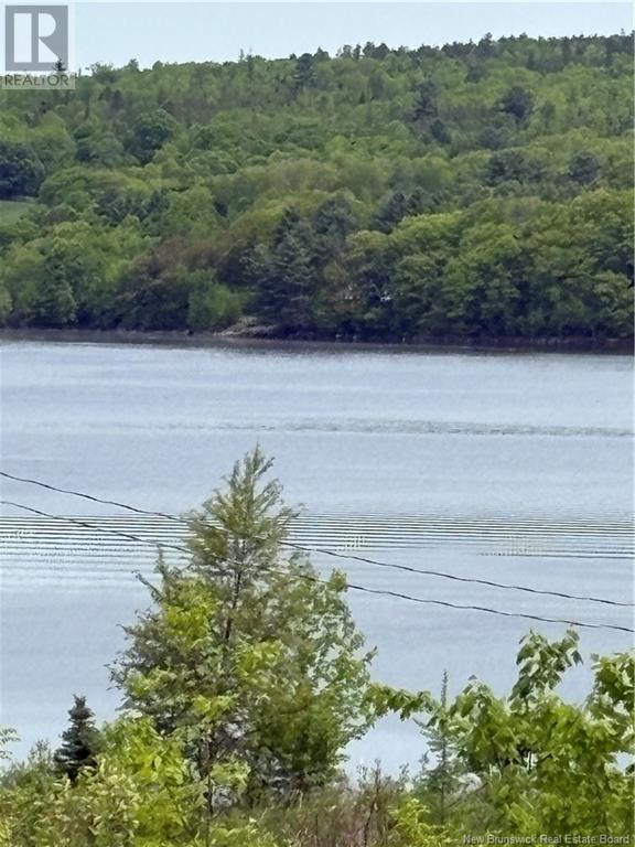 Riverview Drive, Lower Prince William, New Brunswick  E6K 3Y6 - Photo 12 - NB119849