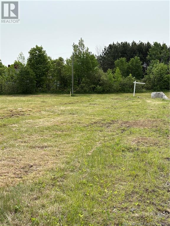 Swan Lane, Lower Prince William, New Brunswick  E6K 3Y6 - Photo 11 - NB119845