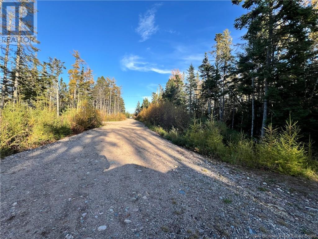 0 Lomax Drive, Little Lepreau, New Brunswick  E5J 1R5 - Photo 2 - NB120046