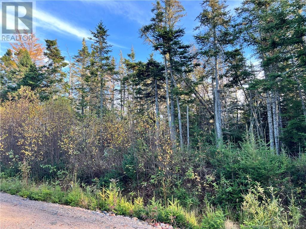 0 Lomax Drive, Little Lepreau, New Brunswick  E5J 1R5 - Photo 3 - NB120046