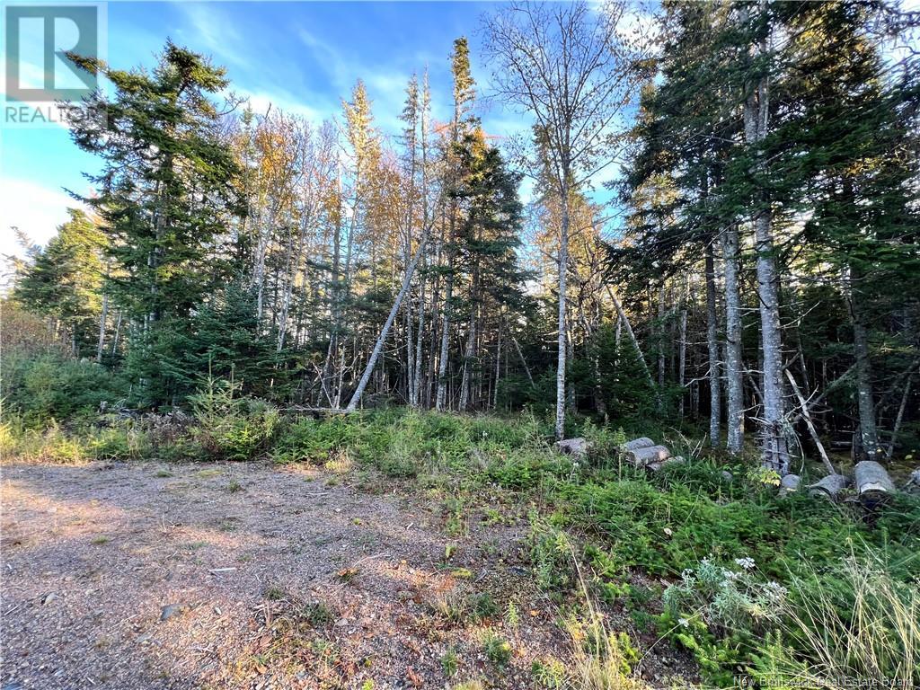 0 Lomax Drive, Little Lepreau, New Brunswick  E5J 1R5 - Photo 6 - NB120046