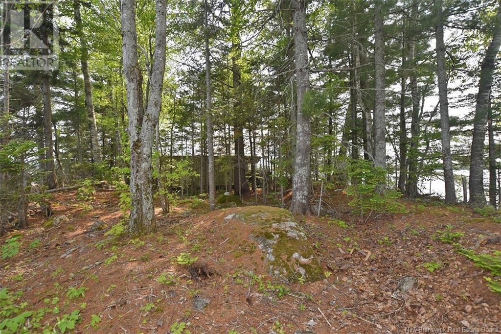 B Island , Harvey Lake, Harvey, New Brunswick  E6K 1A8 - Photo 15 - NB120161