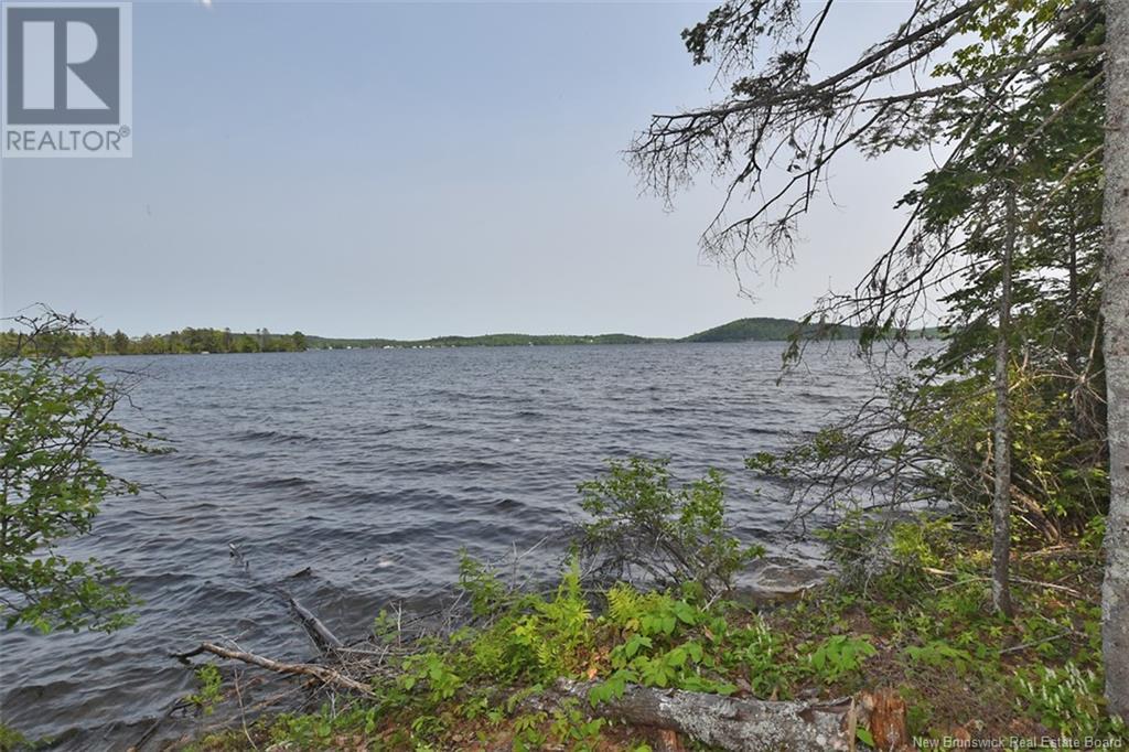 B Island , Harvey Lake, Harvey, New Brunswick  E6K 1A8 - Photo 16 - NB120161