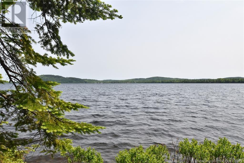 B Island , Harvey Lake, Harvey, New Brunswick  E6K 1A8 - Photo 5 - NB120161
