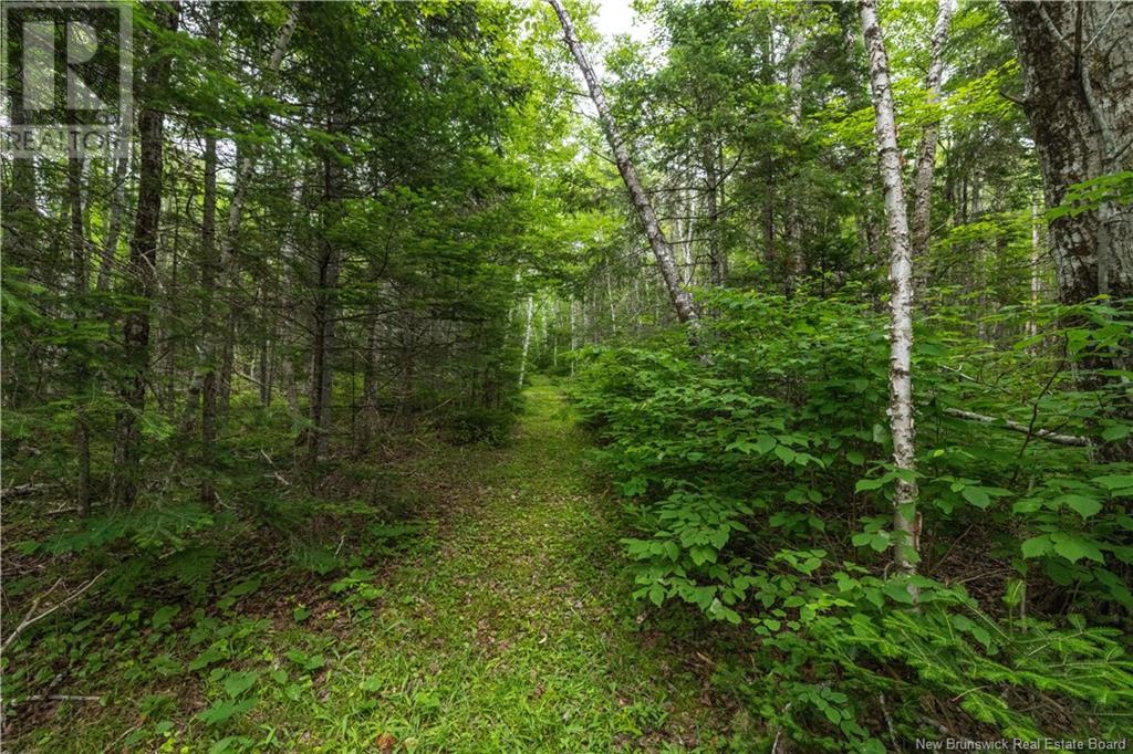 7415 Route 101, Wirral, New Brunswick  E5K 4E3 - Photo 42 - NB119307
