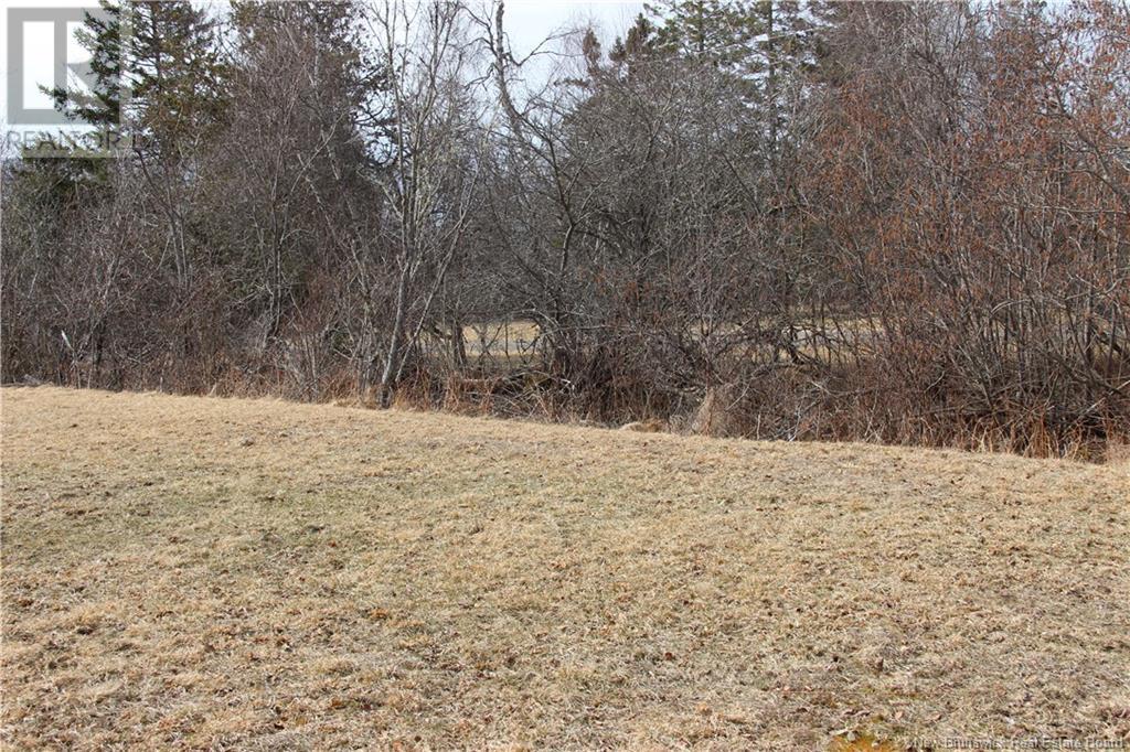 3584 127 Route Unit# 1, Bayside, New Brunswick  E5B 2V3 - Photo 21 - NB116006