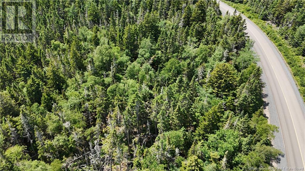 Route 790, Dipper Harbour, New Brunswick  E5J 1X9 - Photo 13 - NB122053
