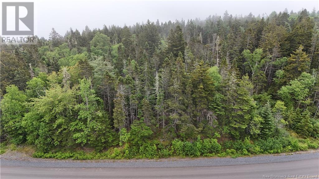 Route 790, Dipper Harbour, New Brunswick  E5J 1X9 - Photo 14 - NB122053