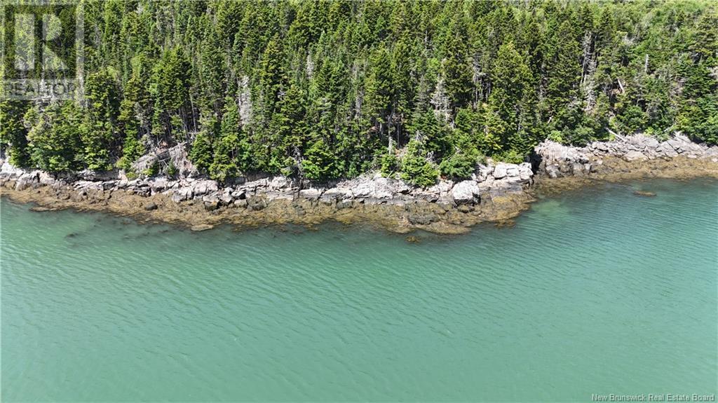 Route 790, Dipper Harbour, New Brunswick  E5J 1X9 - Photo 3 - NB122053