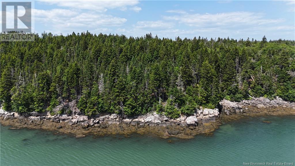 Route 790, Dipper Harbour, New Brunswick  E5J 1X9 - Photo 4 - NB122053
