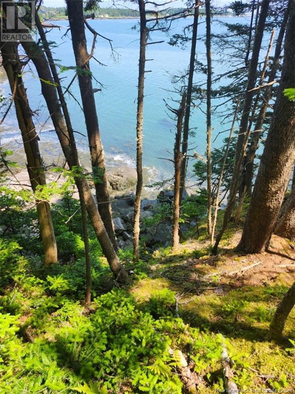 Route 790, Dipper Harbour, New Brunswick  E5J 1X9 - Photo 5 - NB122053