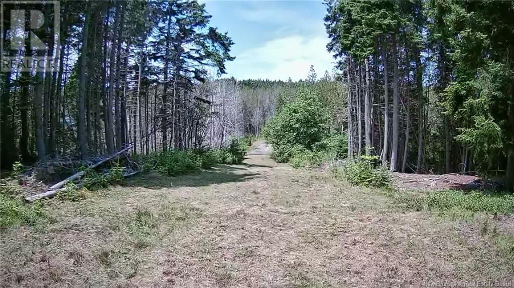 29 Crow Island Road, Back Bay, New Brunswick  E5C 2X6 - Photo 4 - NB122413