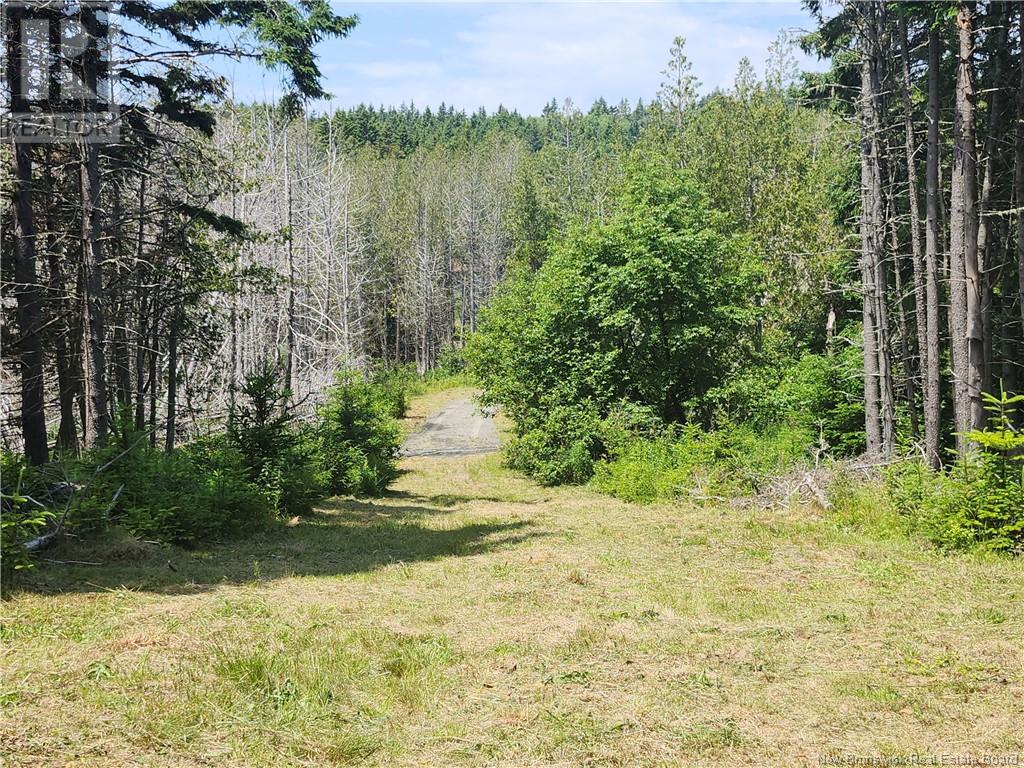 29 Crow Island Road, Back Bay, New Brunswick  E5C 2X6 - Photo 5 - NB122413