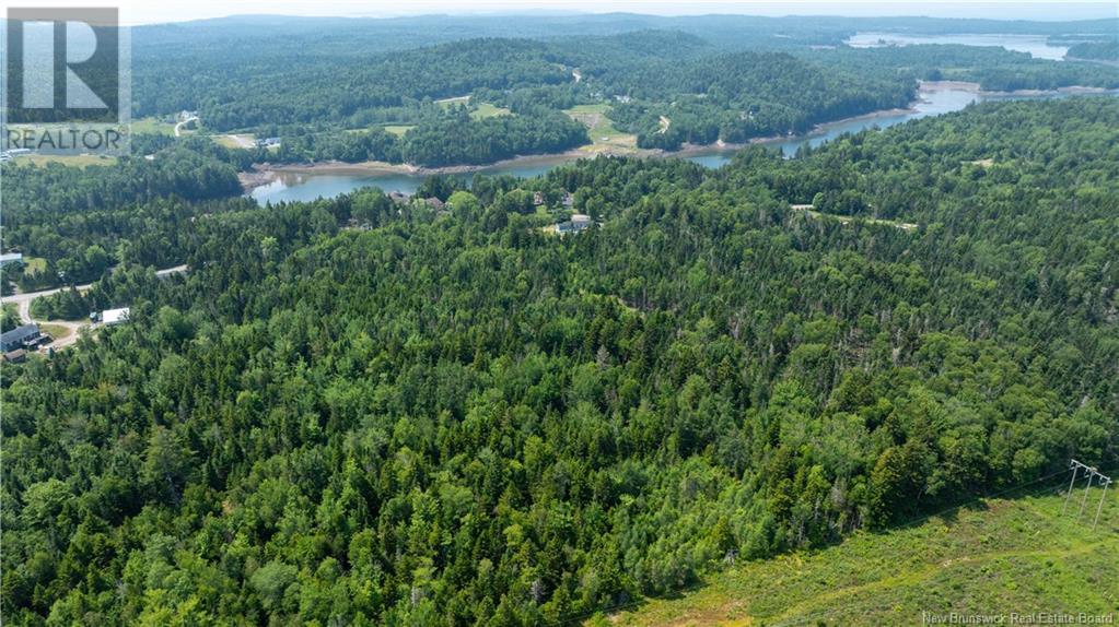 Lot South Street, St George, New Brunswick  E5C 3R1 - Photo 10 - NB122856