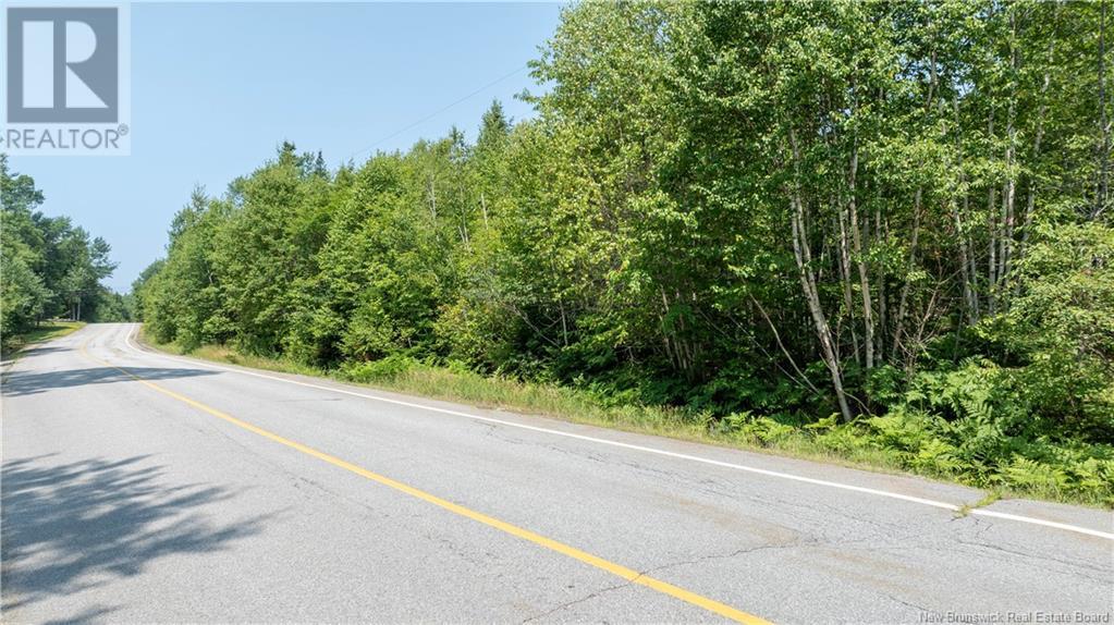 Lot South Street, St George, New Brunswick  E5C 3R1 - Photo 12 - NB122856