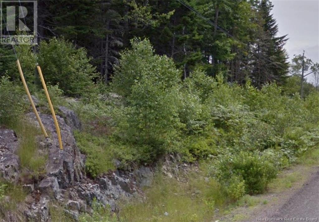 Lot South Street, St George, New Brunswick  E5C 3R1 - Photo 14 - NB122856