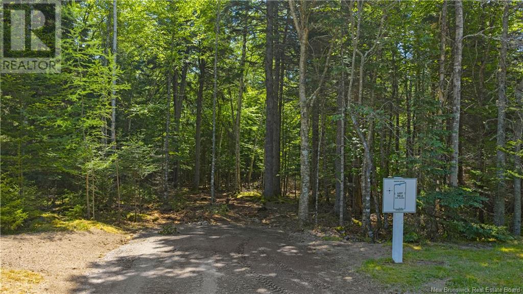 00 Bayview Boulevard, Chamcook, New Brunswick  E5B 0A2 - Photo 21 - NB122809