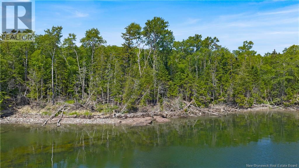 00 Bayview Boulevard, Chamcook, New Brunswick  E5B 0A2 - Photo 15 - NB122808