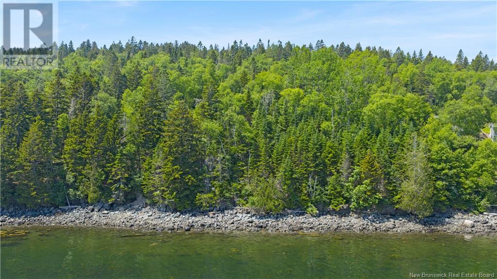 Lot Berry Point Road, Bocabec, New Brunswick  E5B 3P3 - Photo 16 - NB122792