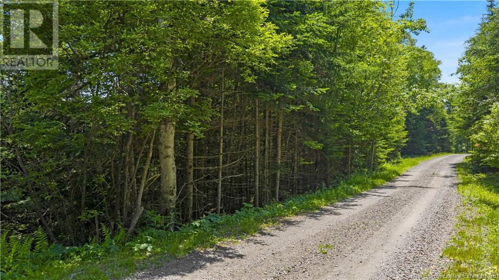 Lot Berry Point Road, Bocabec, New Brunswick  E5B 3P3 - Photo 21 - NB122792