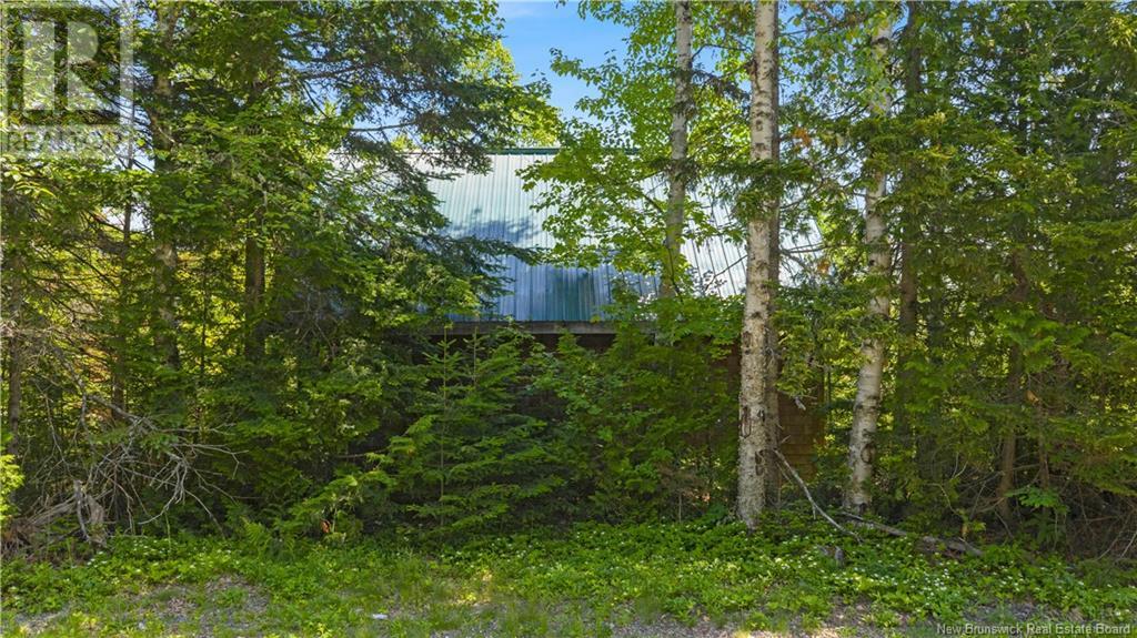 Lot Berry Point Road, Bocabec, New Brunswick  E5B 3P3 - Photo 22 - NB122792