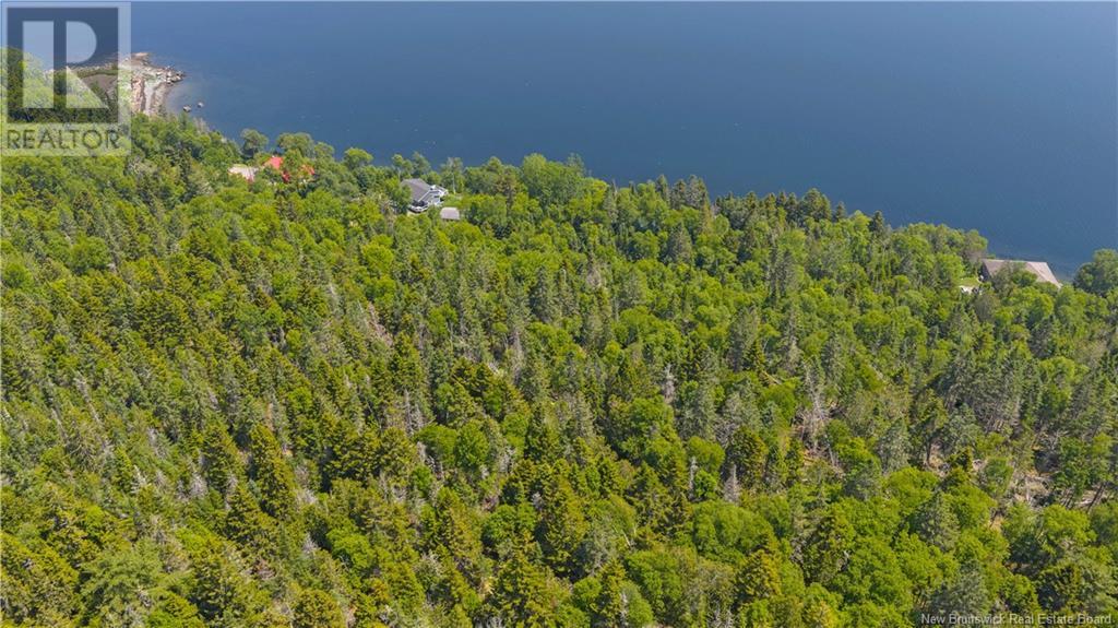 Lot Berry Point Road, Bocabec, New Brunswick  E5B 3P3 - Photo 5 - NB122792