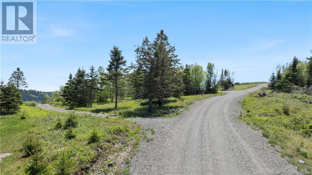 00 Waite's Lane, Beaver Harbour, New Brunswick  E5H 1K8 - Photo 20 - NB121001