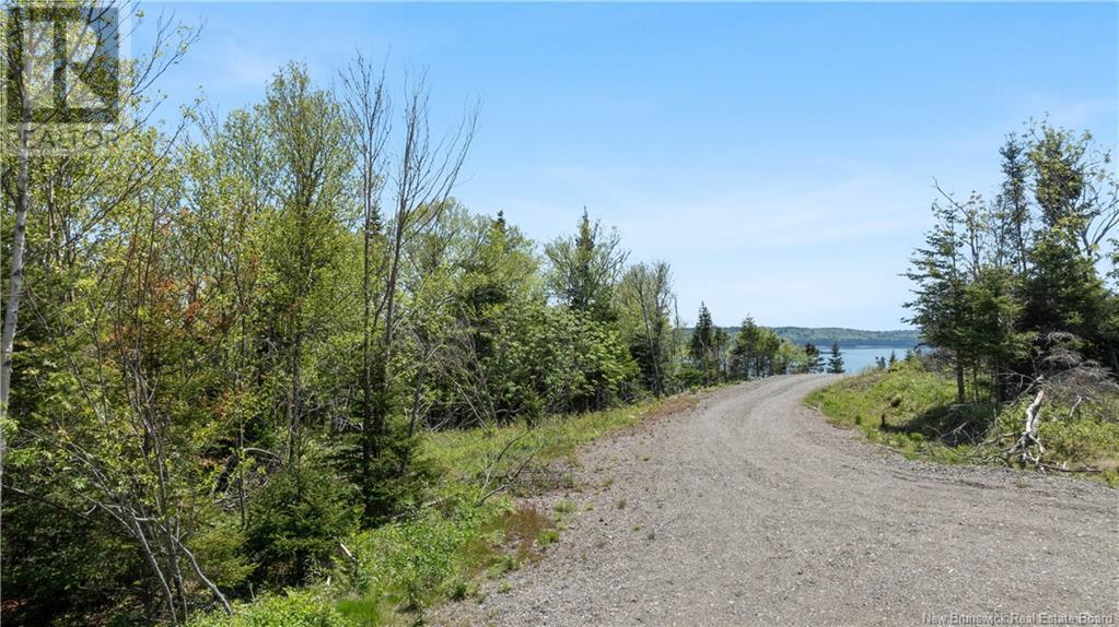 00 Waite's Lane, Beaver Harbour, New Brunswick  E5H 1K8 - Photo 22 - NB121001