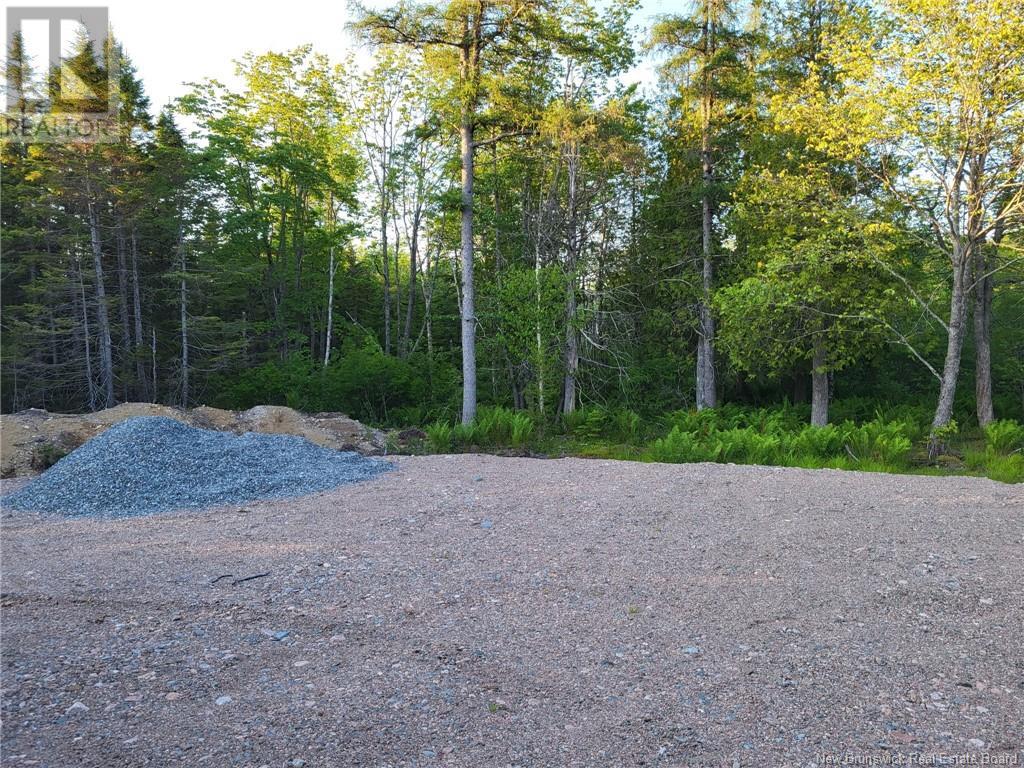 Vacant Route 790, Musquash, New Brunswick  E5J 2R2 - Photo 2 - NB122861