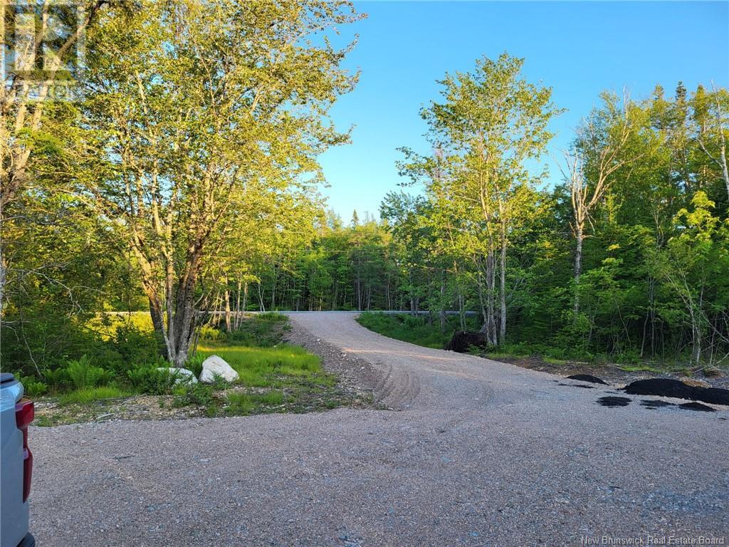 Vacant Route 790, Musquash, New Brunswick  E5J 2R2 - Photo 3 - NB122861