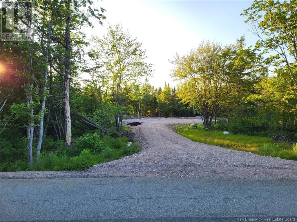 Vacant Route 790, Musquash, New Brunswick  E5J 2R2 - Photo 4 - NB122861