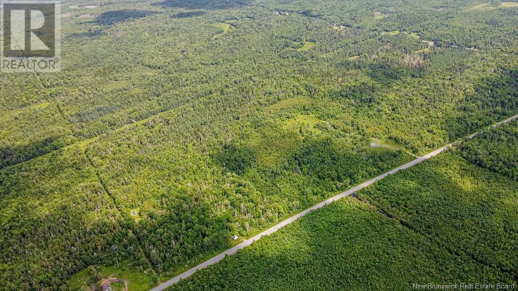 Vacant Land Route 630, Andersonville, New Brunswick  E5A 1E1 - Photo 10 - NB123039