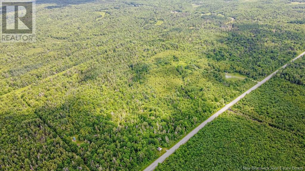 Vacant Land Route 630, Andersonville, New Brunswick  E5A 1E1 - Photo 12 - NB123039