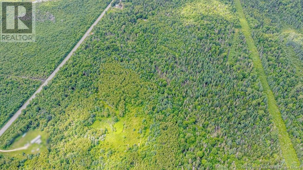 Vacant Land Route 630, Andersonville, New Brunswick  E5A 1E1 - Photo 14 - NB123039