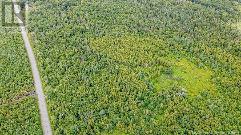 Vacant Land Route 630, Andersonville, New Brunswick  E5A 1E1 - Photo 16 - NB123039