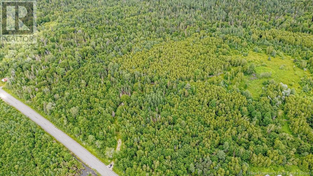 Vacant Land Route 630, Andersonville, New Brunswick  E5A 1E1 - Photo 17 - NB123039