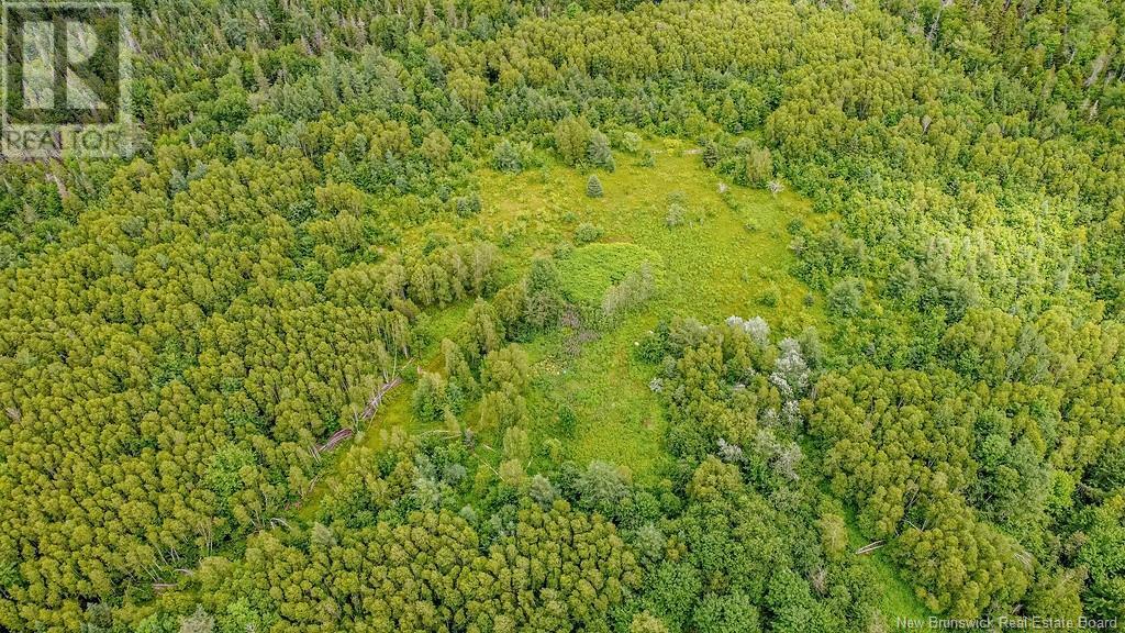 Vacant Land Route 630, Andersonville, New Brunswick  E5A 1E1 - Photo 18 - NB123039