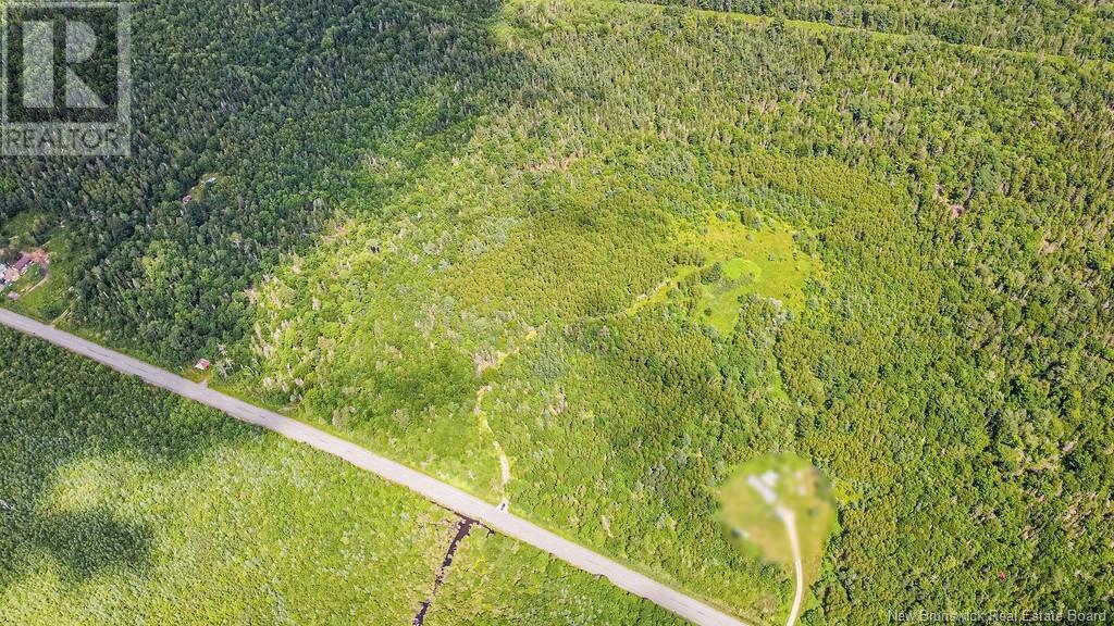 Vacant Land Route 630, Andersonville, New Brunswick  E5A 1E1 - Photo 6 - NB123039