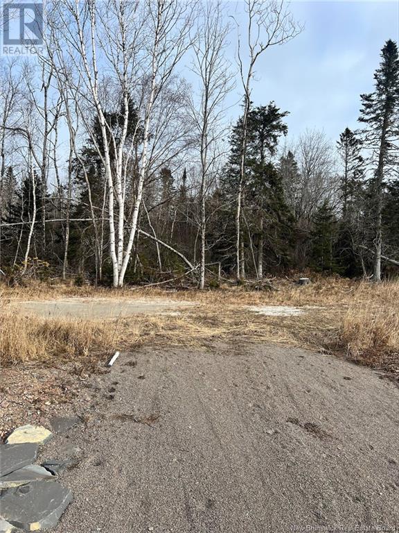 40 Clamshell Lane, Chamcook, New Brunswick  E5B 1N5 - Photo 2 - NB123144