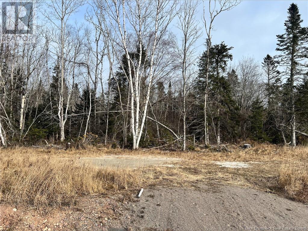 40 Clamshell Lane, Chamcook, New Brunswick  E5B 1N5 - Photo 3 - NB123144