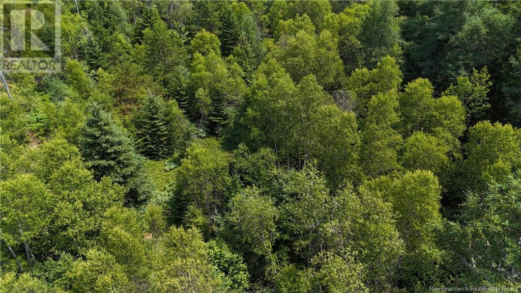 Route 780, Utopia, New Brunswick  E5C 2G1 - Photo 2 - NB123177