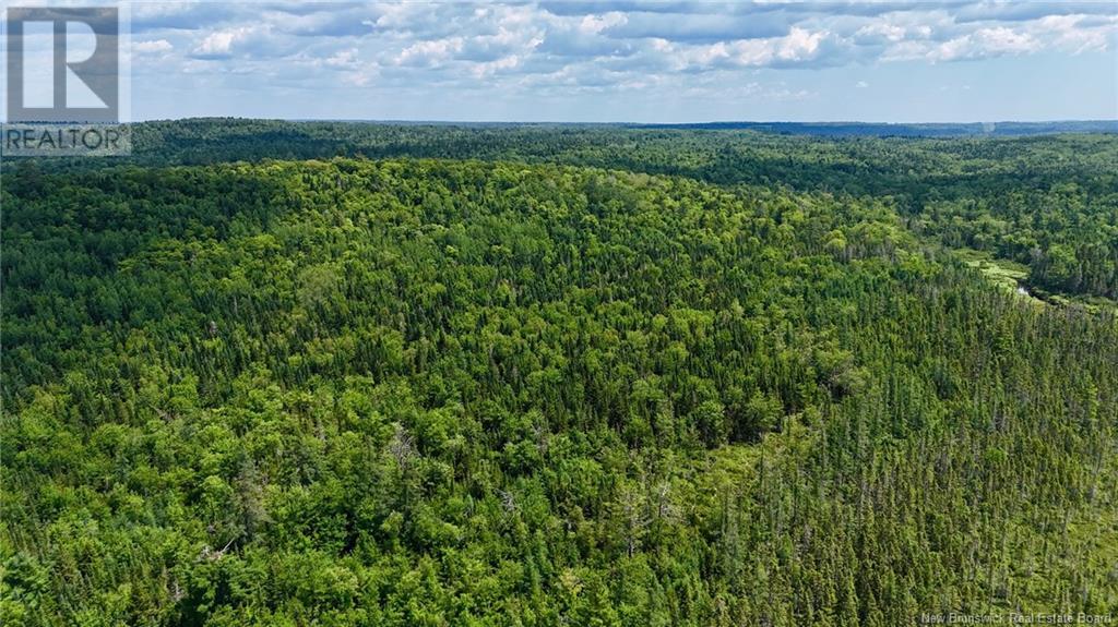 00 740 Route, Basswood Ridge, New Brunswick  E3L 5A8 - Photo 12 - NB123251