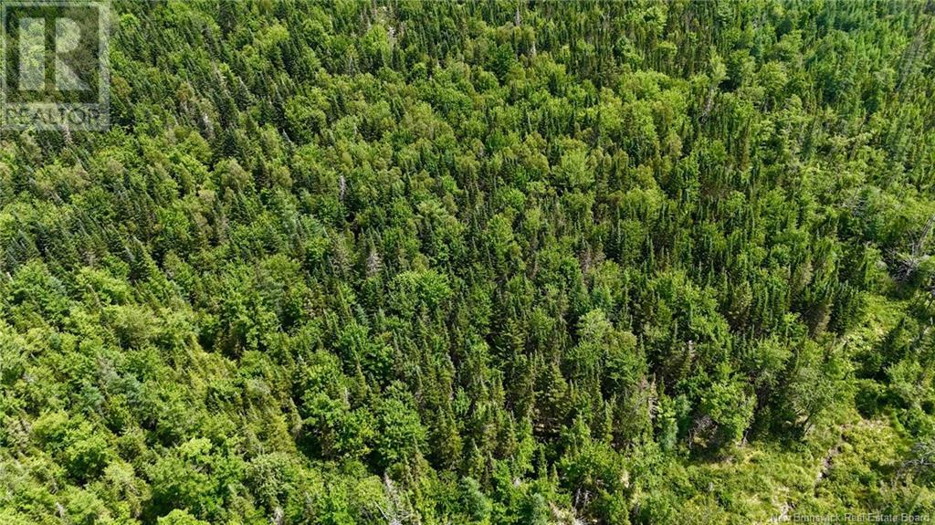 00 740 Route, Basswood Ridge, New Brunswick  E3L 5A8 - Photo 13 - NB123251