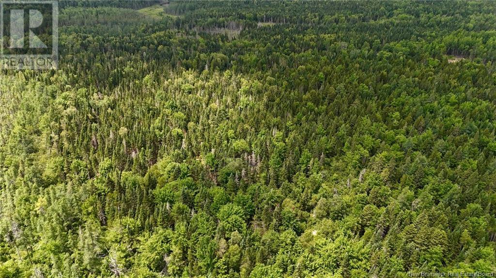 00 740 Route, Basswood Ridge, New Brunswick  E3L 5A8 - Photo 14 - NB123251