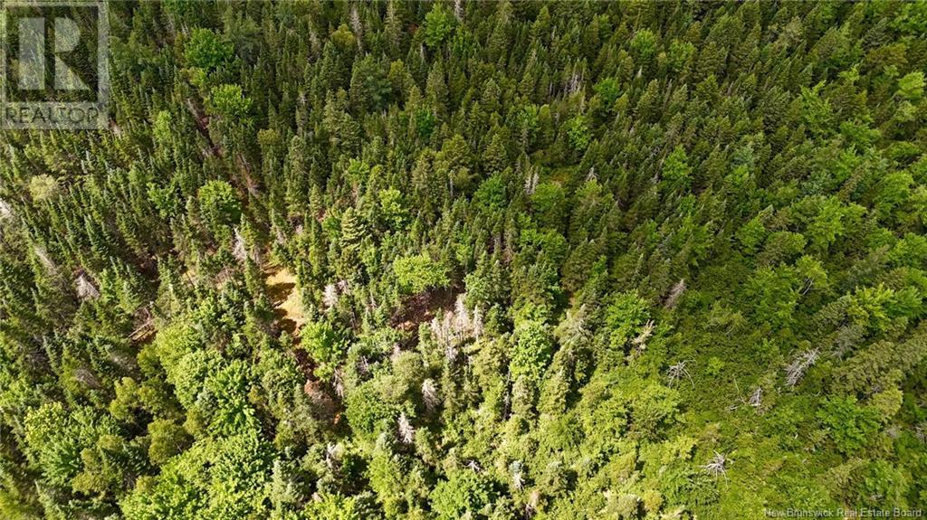 00 740 Route, Basswood Ridge, New Brunswick  E3L 5A8 - Photo 15 - NB123251