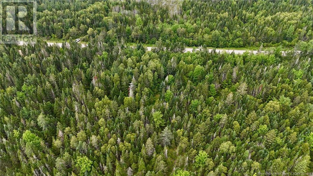 00 740 Route, Basswood Ridge, New Brunswick  E3L 5A8 - Photo 16 - NB123251
